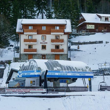 Apartmany Maliarik Demänovská Dolina Buitenkant foto